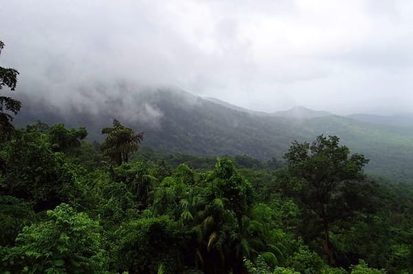 Goa: The Beautiful Land of Sun, Sand, and Spices: photo 3