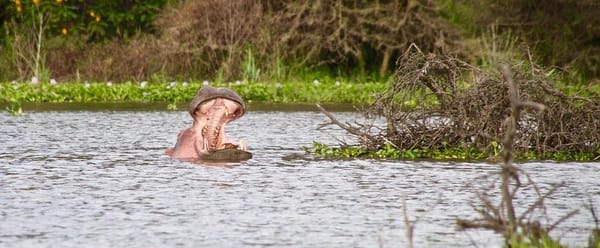 Top 5 places to Visit in Nakuru: photo 1