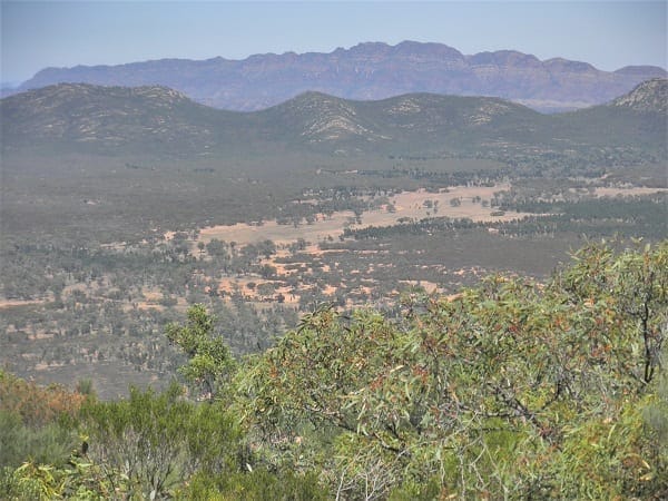 Flinders Ranges: Ancient earth and fascinating wildlife: photo 39
