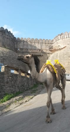 Kumbhalgarh Fort: Rajasthan's Best Kept Secret: photo 3