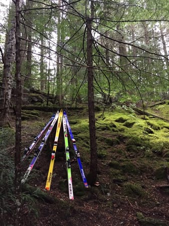 Whistler, British Columbia - Not Just For Riders: photo 9