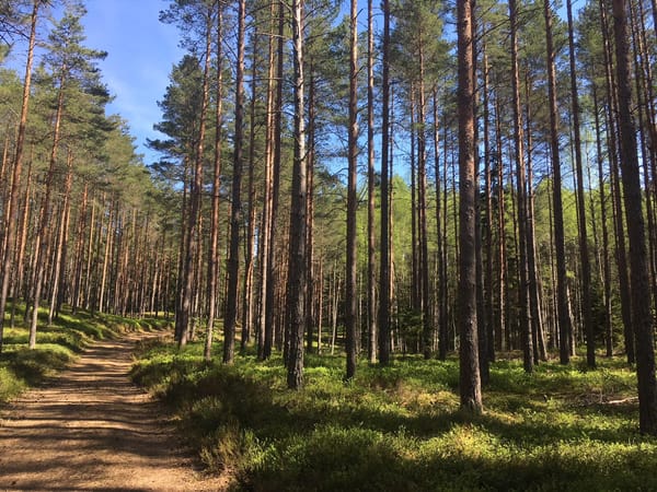 Hiiumaa: A hidden paradise in the Baltic sea: photo 5