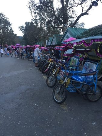 One day trip to City of Pines: Baguio City: photo 13