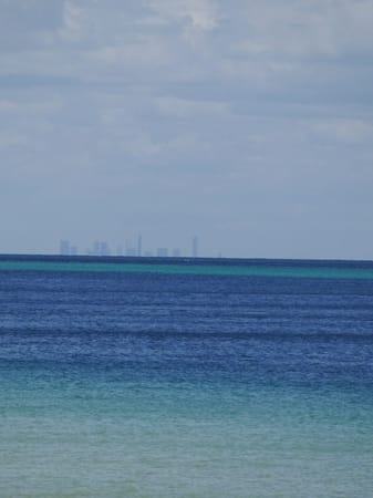 Queensland: Dolphin feeding on Moreton Island: photo 3