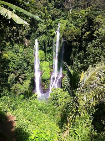 Sekumpul - Bali´s hidden Waterfall: photo 11