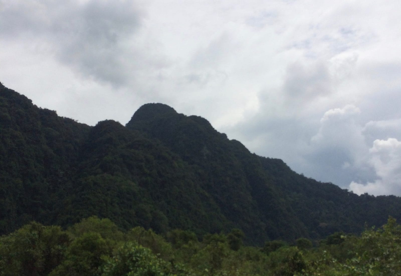 A Local’s Guide to Caving in Gua Tempurung, Ipoh