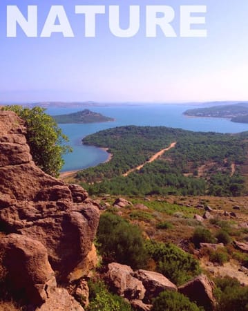 The hidden paradise of Ayvalık – Turkey: photo 5
