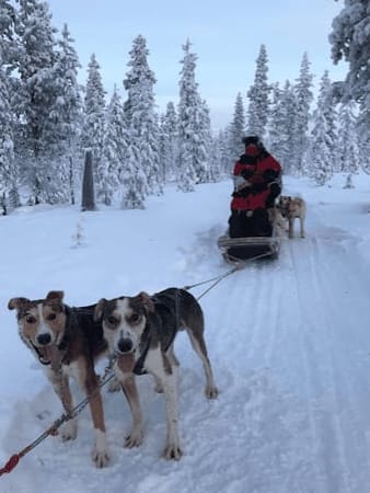 A Winter Wonderland in Finnish Lapland: photo 2