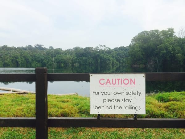 Singapore: Get Closer to Nature: photo 6