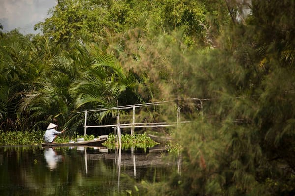 Unwind in Hoi An: photo 9