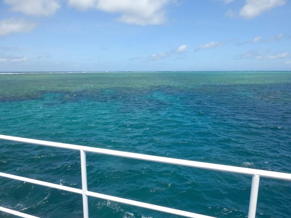 The Best of Cairns: photo 5