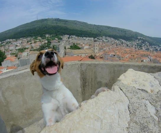 Dubrovnik: a two days trip in a medieval city: photo 7