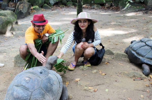 Best Places to Visit in Seychelles | Mahé, Praslin and La Digue: photo 2