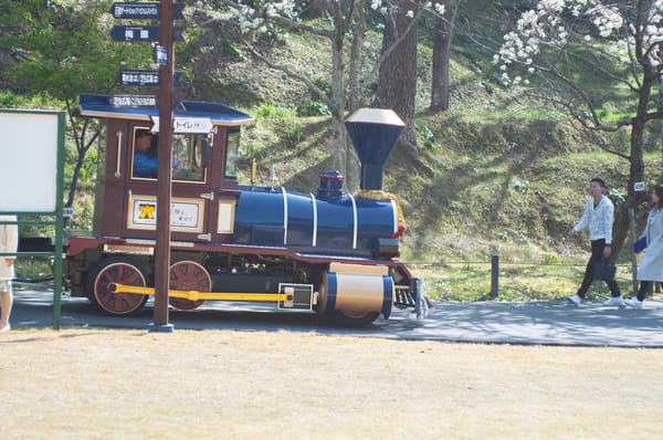 A Whimsical Experience in Hamamatsu, Japan: photo 24