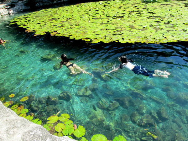 Top 12 Things To Do In And Around Merida: photo 4