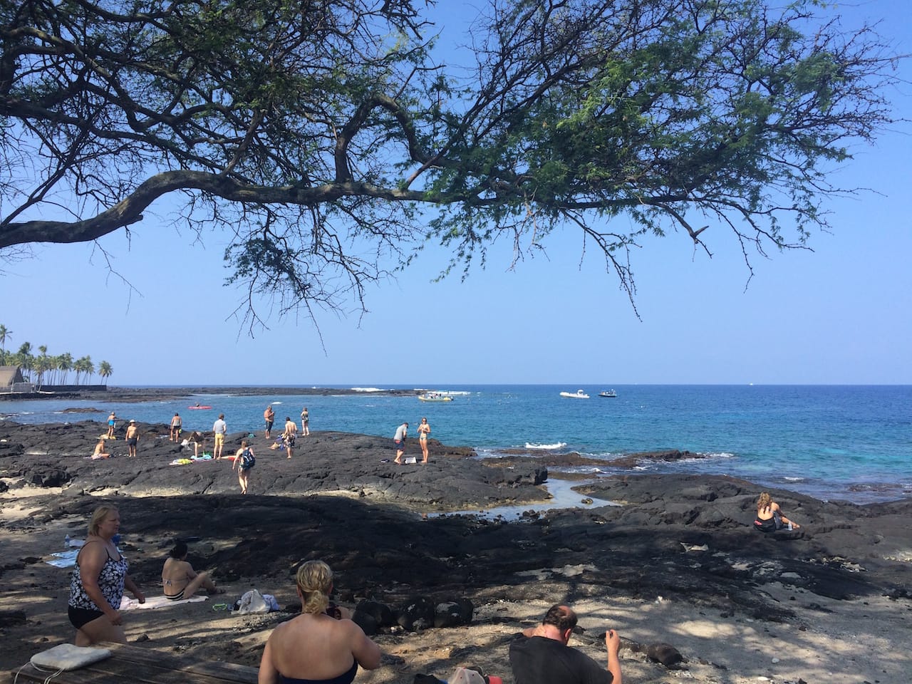 The Big Island: Two Step Beach