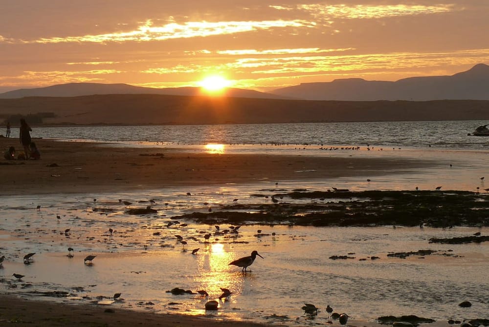 5 reasons to visit Paracas