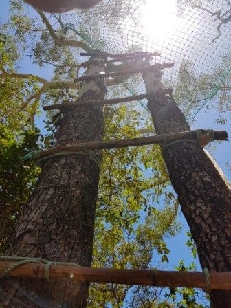 Great Keppel Island Living: photo 12