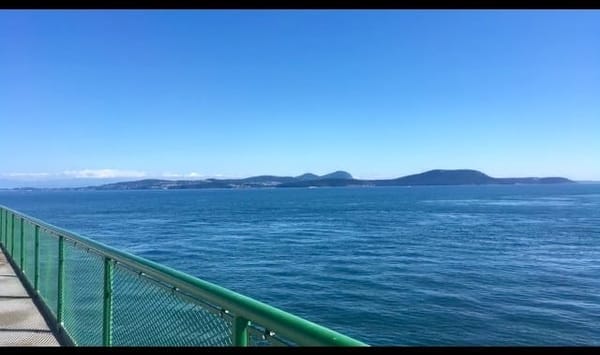 What to do and Places to See While Visiting the San Juan Islands!: photo 1
