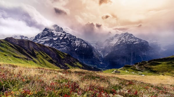 Swiss Alp Hiking Guide: Best Hikes of the Region: photo 2