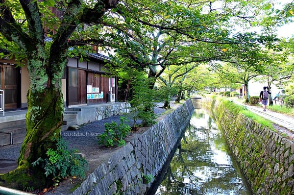8 Must-See Spots in Kyoto: photo 21