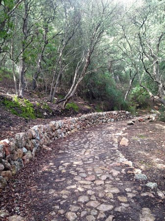 Paradise de Mallorca: photo 4