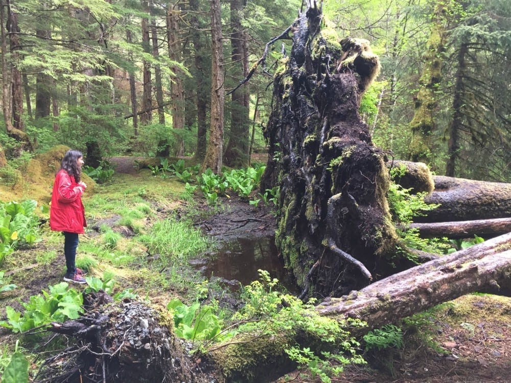 5 things that make Sitka, AK different than the rest of the USA