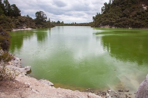 Wai-O-Tapu: the best volcanic park in New Zealand: photo 6