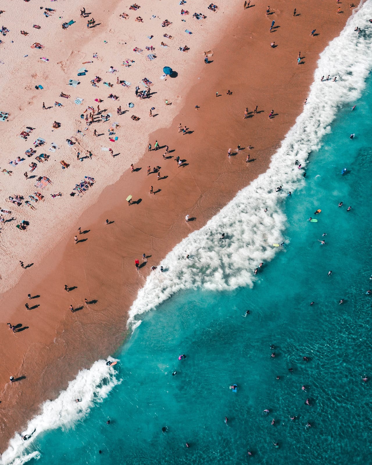 Backpacker’s Travel Guide to Bondi Beach: Bars, Food, and Fun!