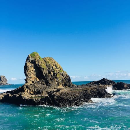 Amazing  free places to visit in Aukland: photo 4