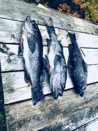 5 things that make Sitka, AK different than the rest of the USA: photo 4