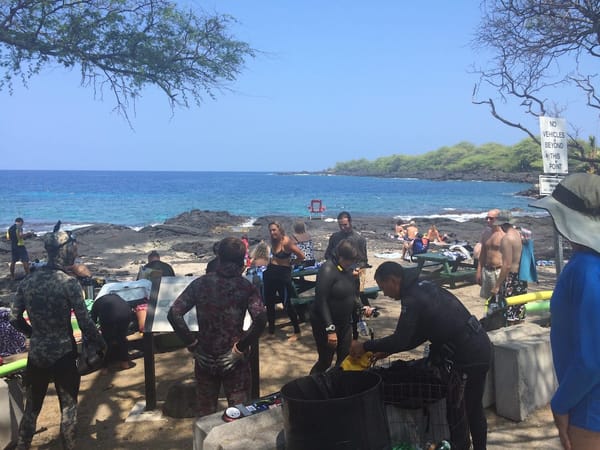 The Big Island: Two Step Beach: photo 3