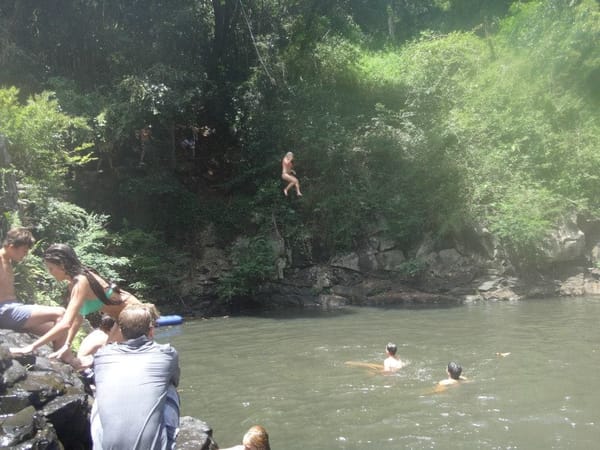 Top things to do on the Sunshine Coast for the Thrill Seeker: photo 18