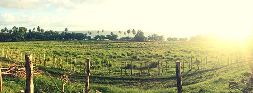 Rural Rincón: Puerto Rico, USA