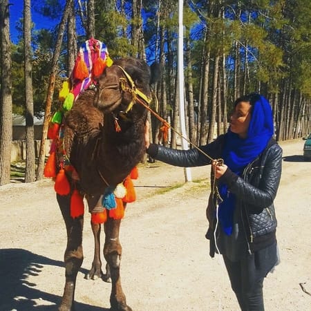 My solo adventure to Iran: photo 8