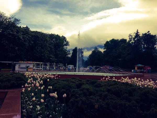 Sofia's hidden treasure - The South Park: photo 2