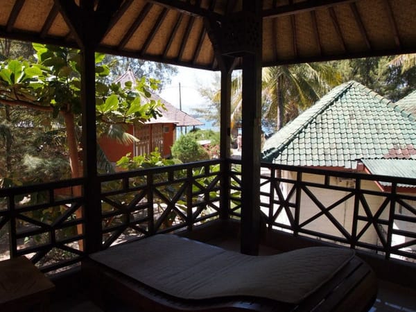 The Gili Islands: Which is the most venomous snake in the world?: photo 4