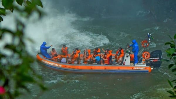 Iguazu Falls: Short trip to Brasil: photo 3