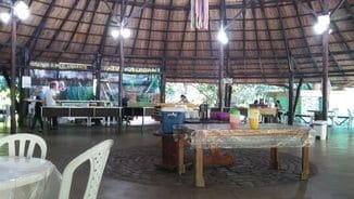 Manaus part 01: Finding green areas: photo 3