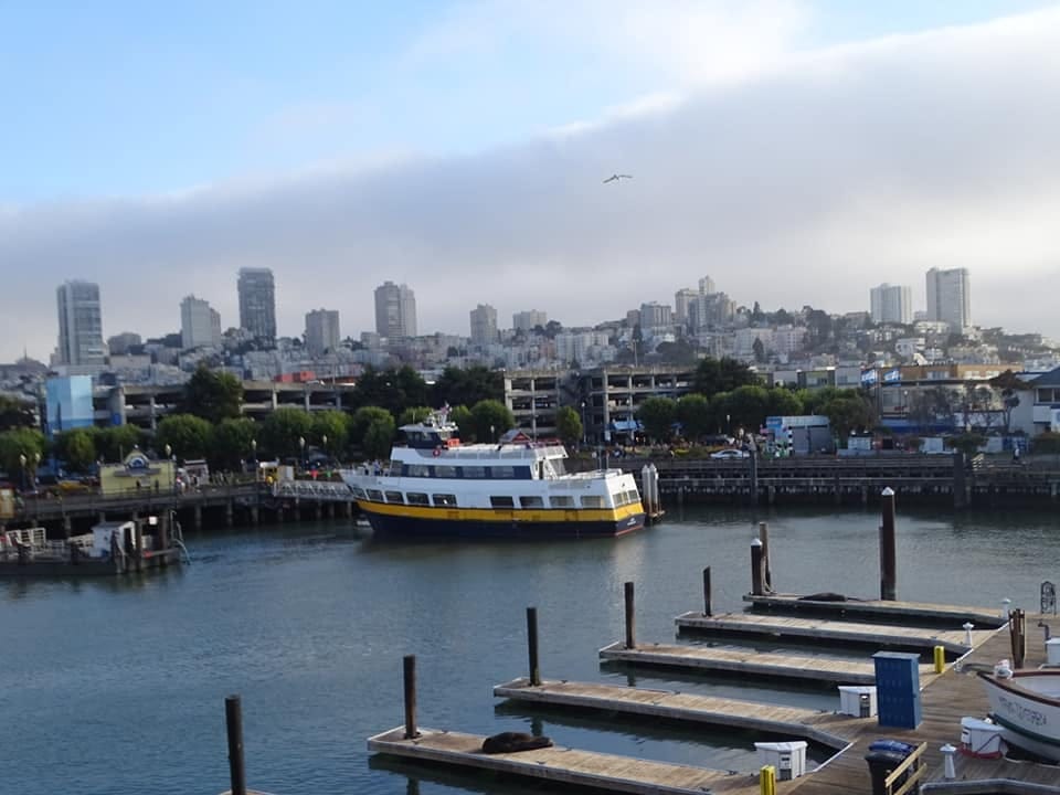 Top 7 Things to Do in San Francisco