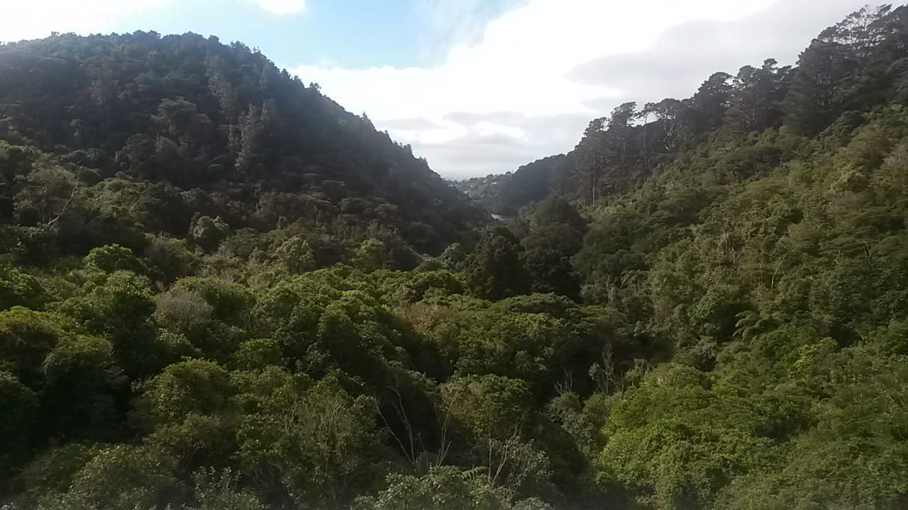 Zealandia Park: Wellington’s jewel of life.