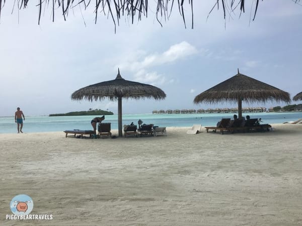 Maldives: The Tropical Paradise: photo 1