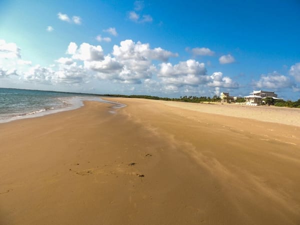 KENYA: TIPS ON EXPLORING LAMU: photo 4
