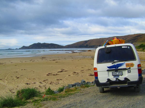 Natural wonders in the Catlins region: photo 15