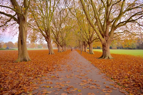 Cambridge: A city to fall in love with: photo 15