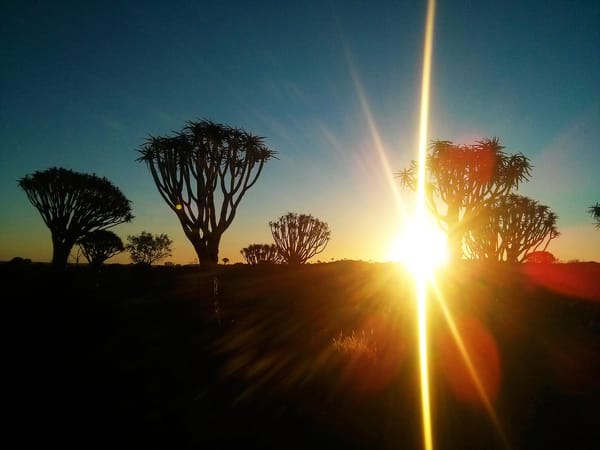Namibia: Self-drive road trip by 2WD: photo 15