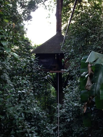 LAOS: Christmas in the treetops: photo 2