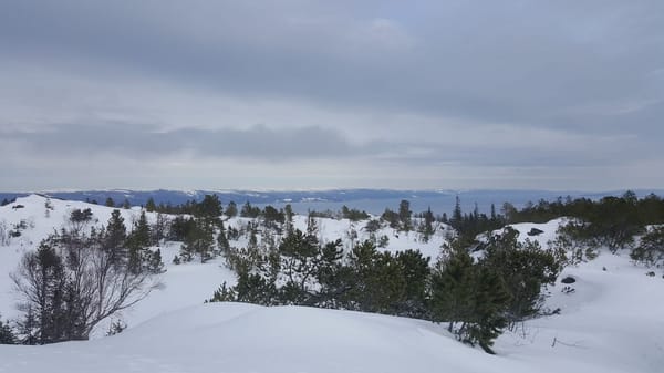 Travelling to Norway on a budget? Go to Trondheim.: photo 2