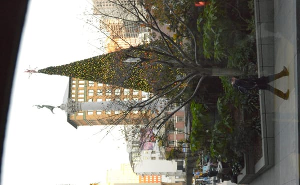 Winter in San Francisco: photo 9