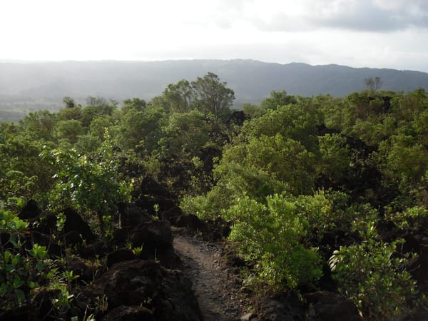 A Round Trip In The Highlands of Costa Rica: photo 9